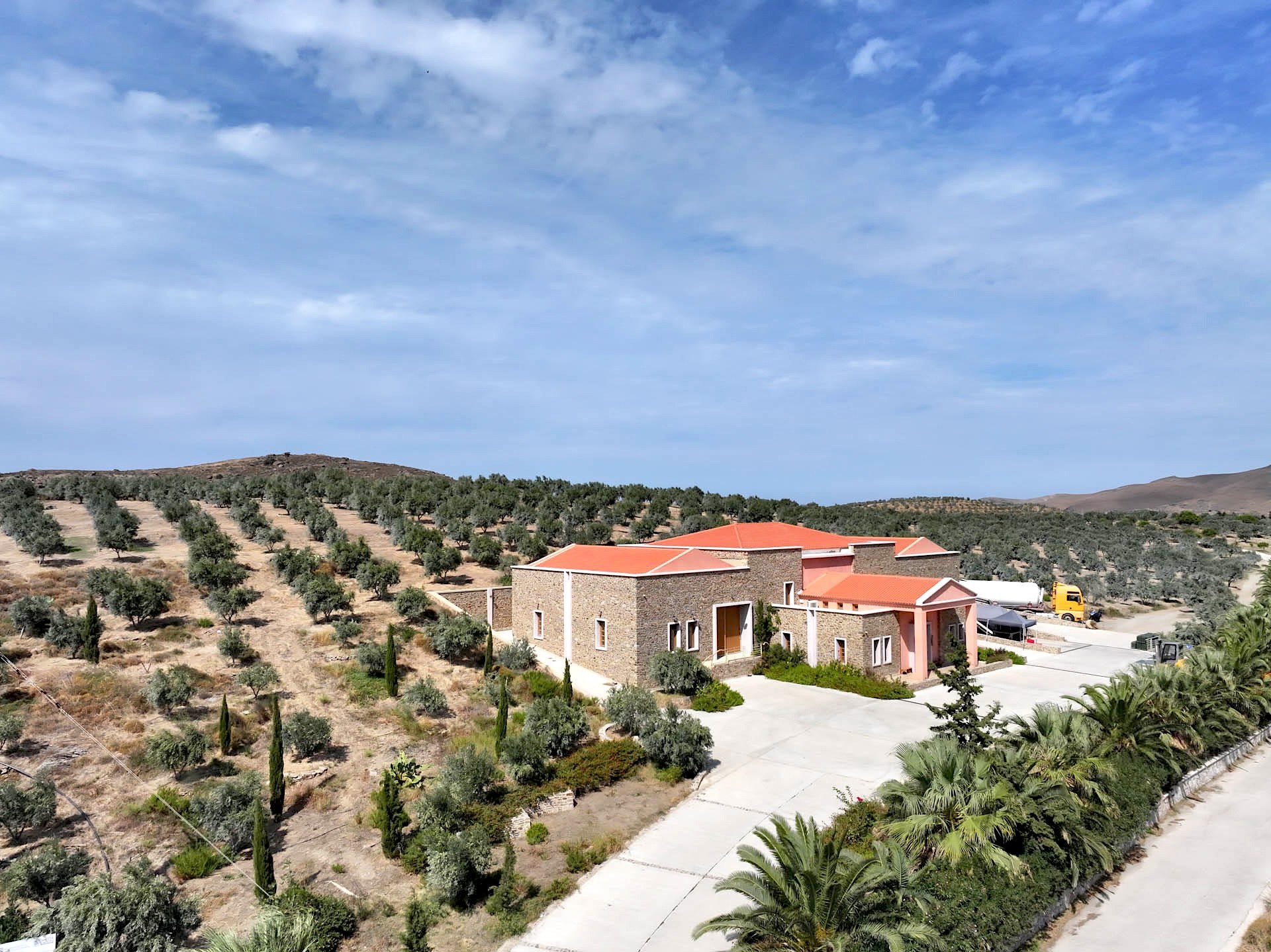 The drive up to the mill, between palms, cypresses and olive groves