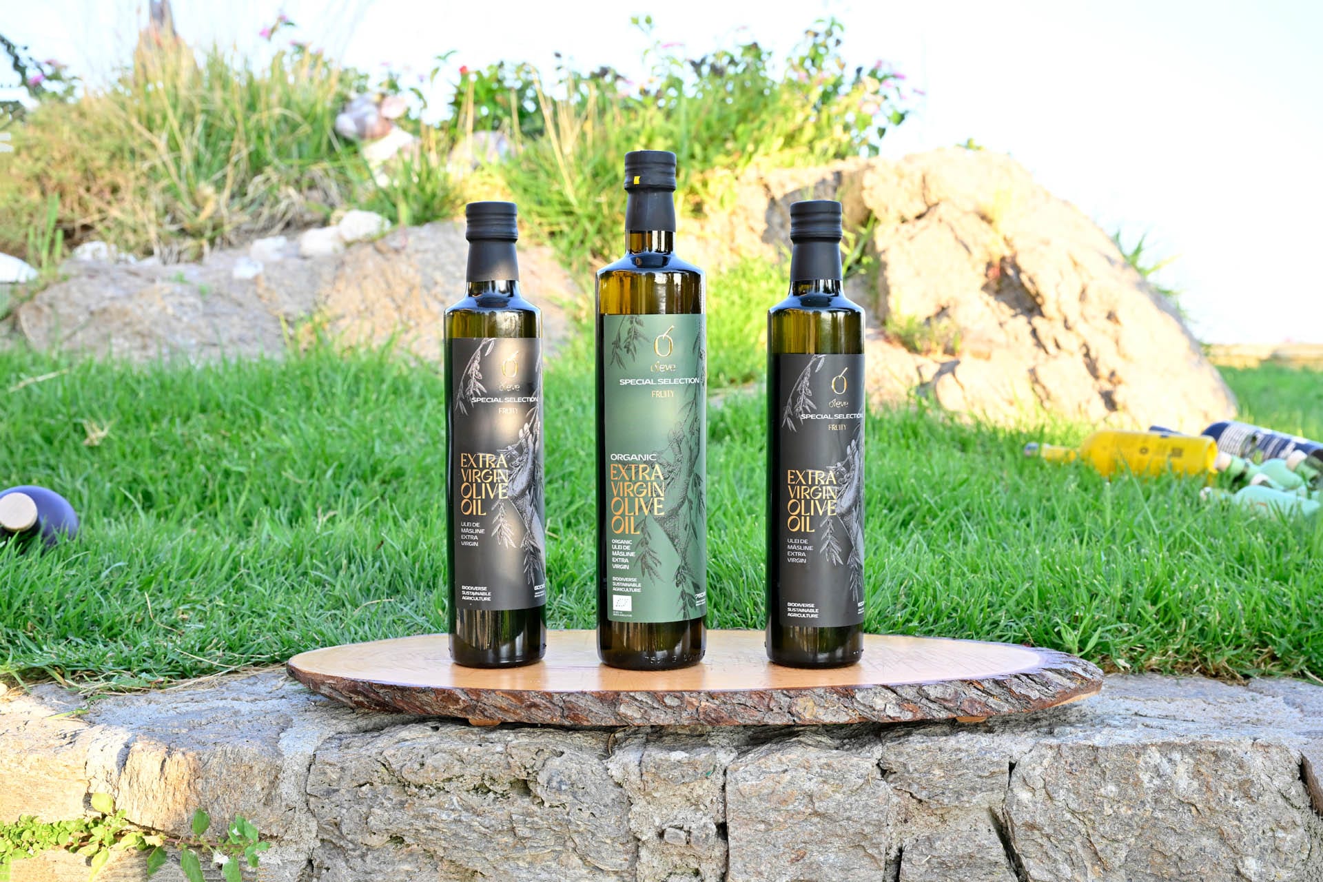 Three bottles of extra virgin olive oil on a wooden board in the garden