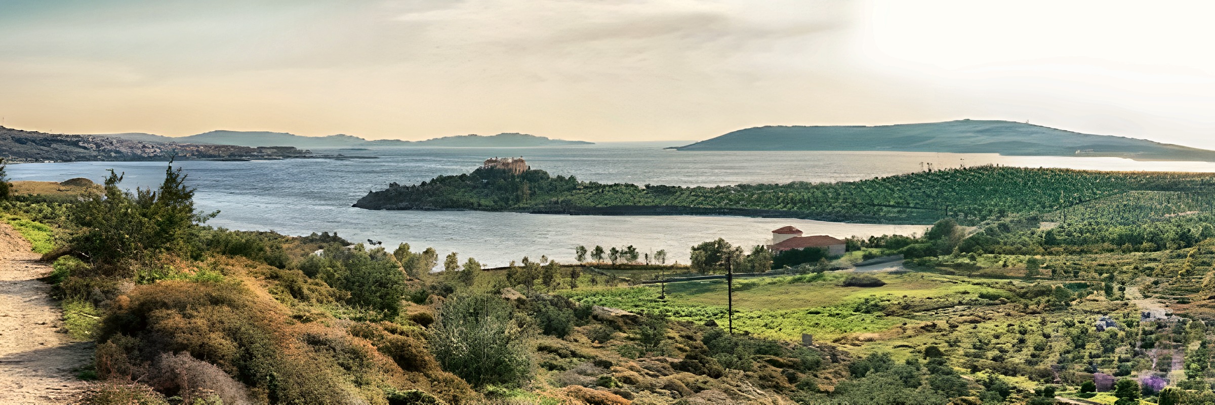 Faros Estate in 2021: olive groves covering the hills above the lagoon