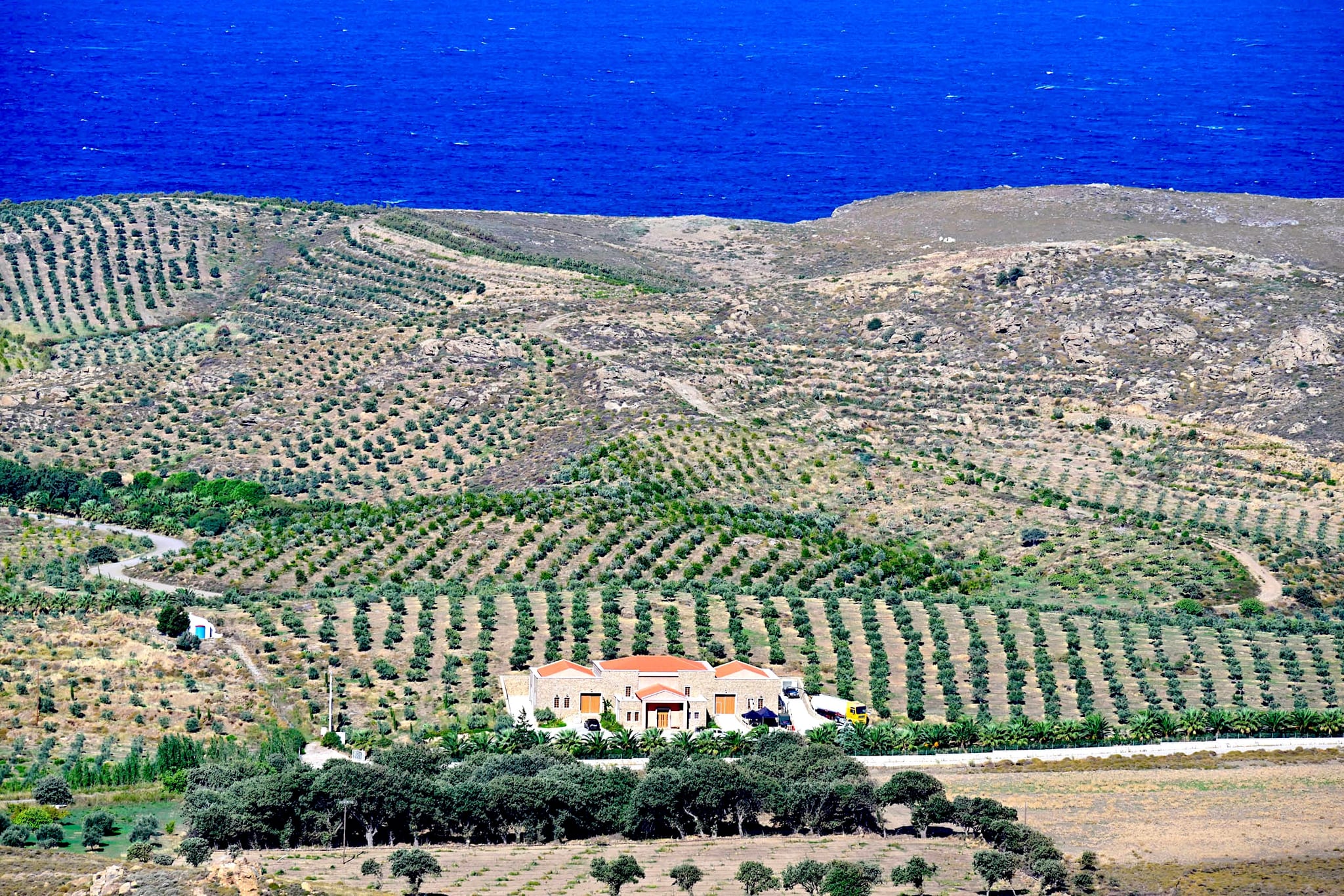 The estate’s groves and the mill, with the deep-blue sea behind