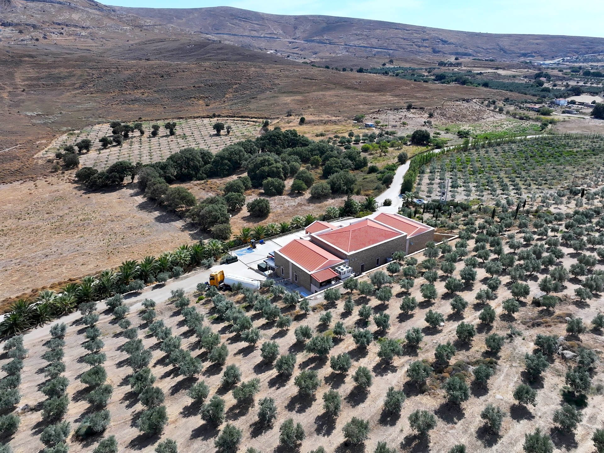 The estate’s olive groves from high above, the mill among them, the bay in the distance