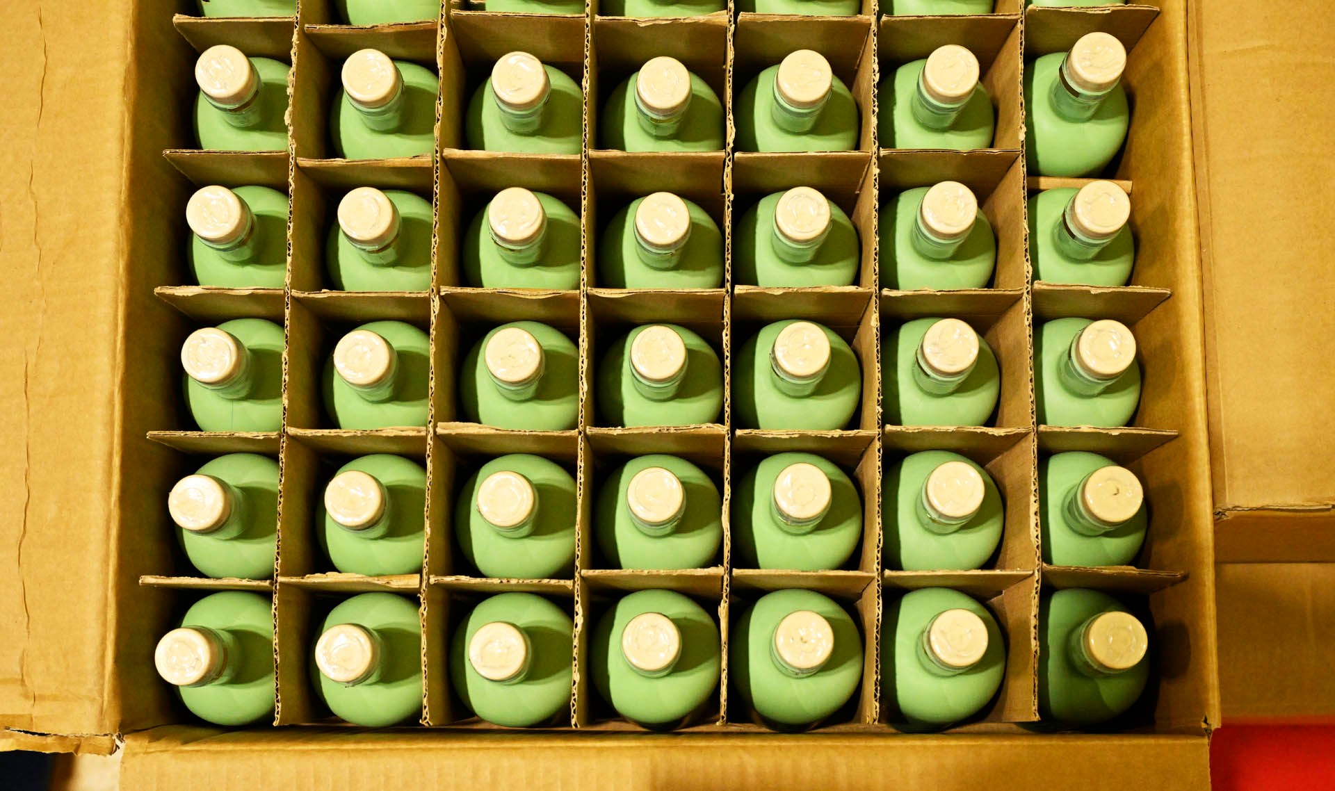 Mint-green bottles in their case, seen from above