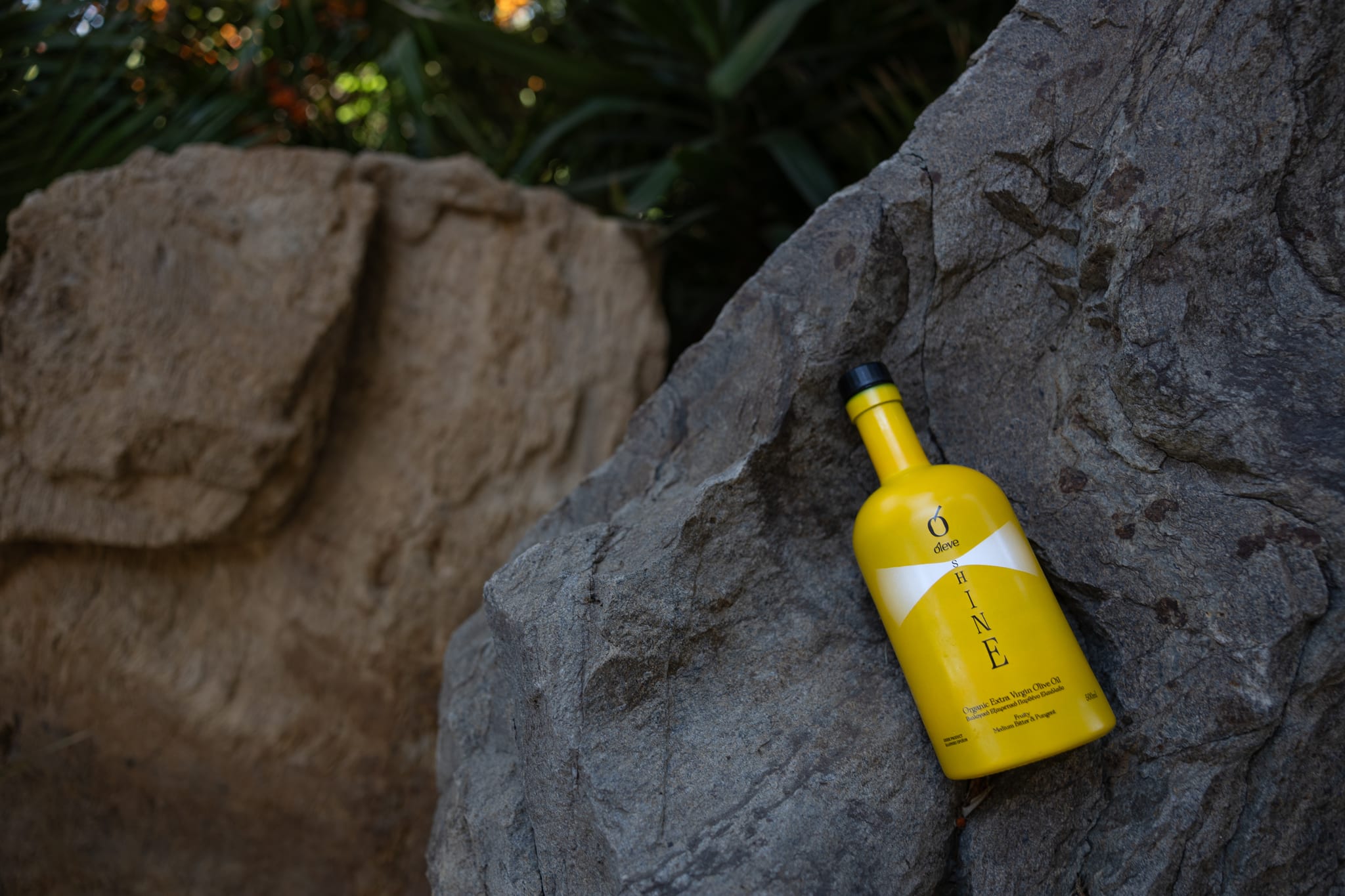 A bottle of Ol-eve SHINE on a rock among the greenery