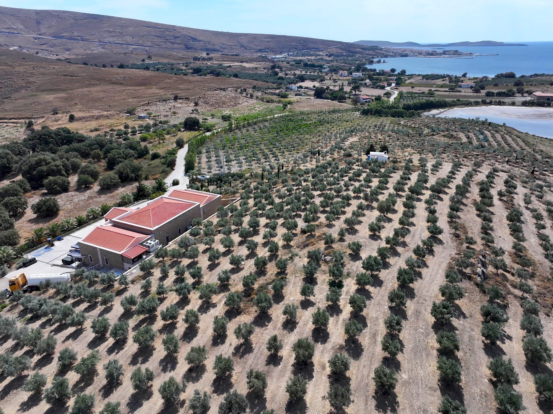 High above the groves: the mill at their edge, the lagoon and the bay beyond