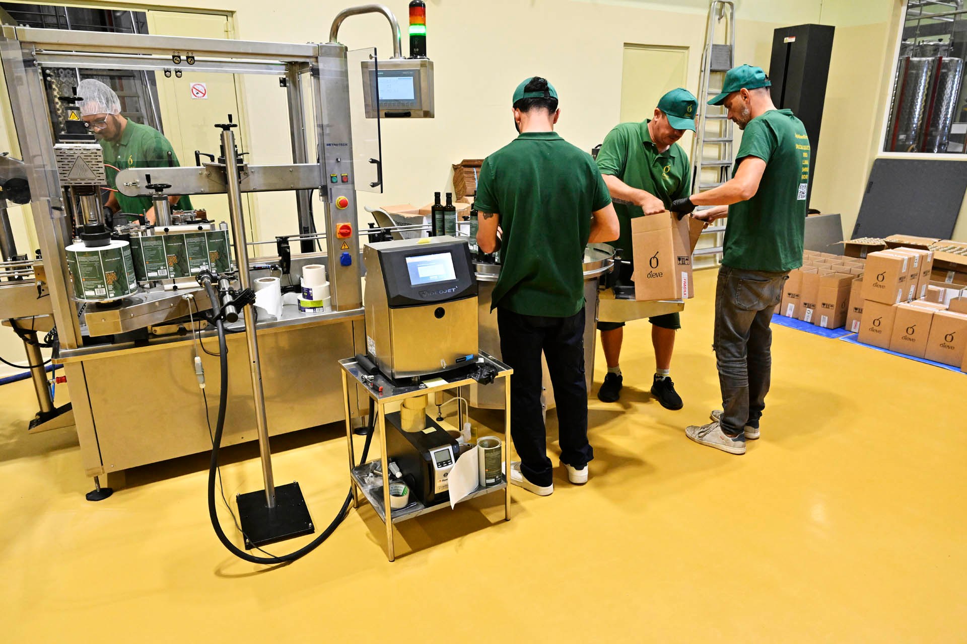 Packing bottles into Ol-eve boxes beside the labelling machine