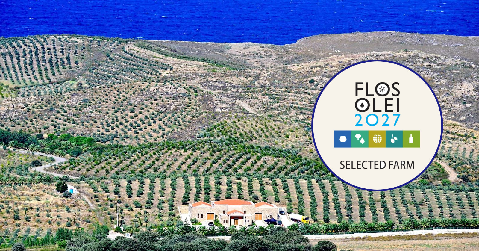 Olive trees on the Faros Estate by the sea, with the Flos Olei 2027 logo