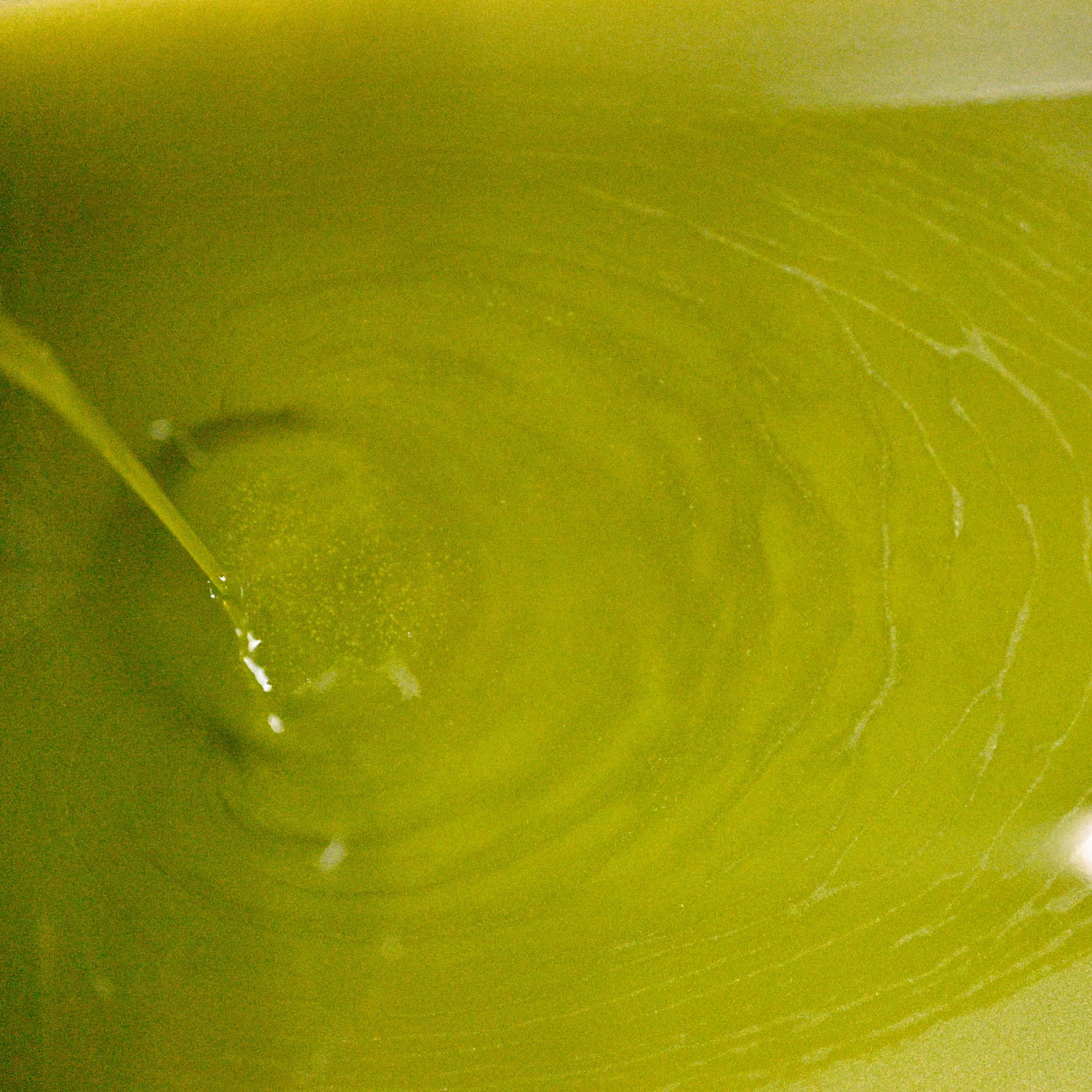 Fresh, green-gold olive oil, close up